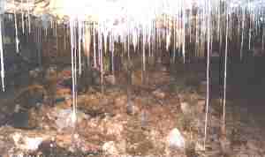 Straw stalactites in Jewel Cave