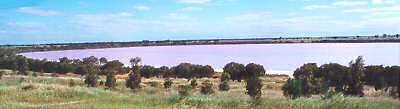 Pink Lake, Dimboola